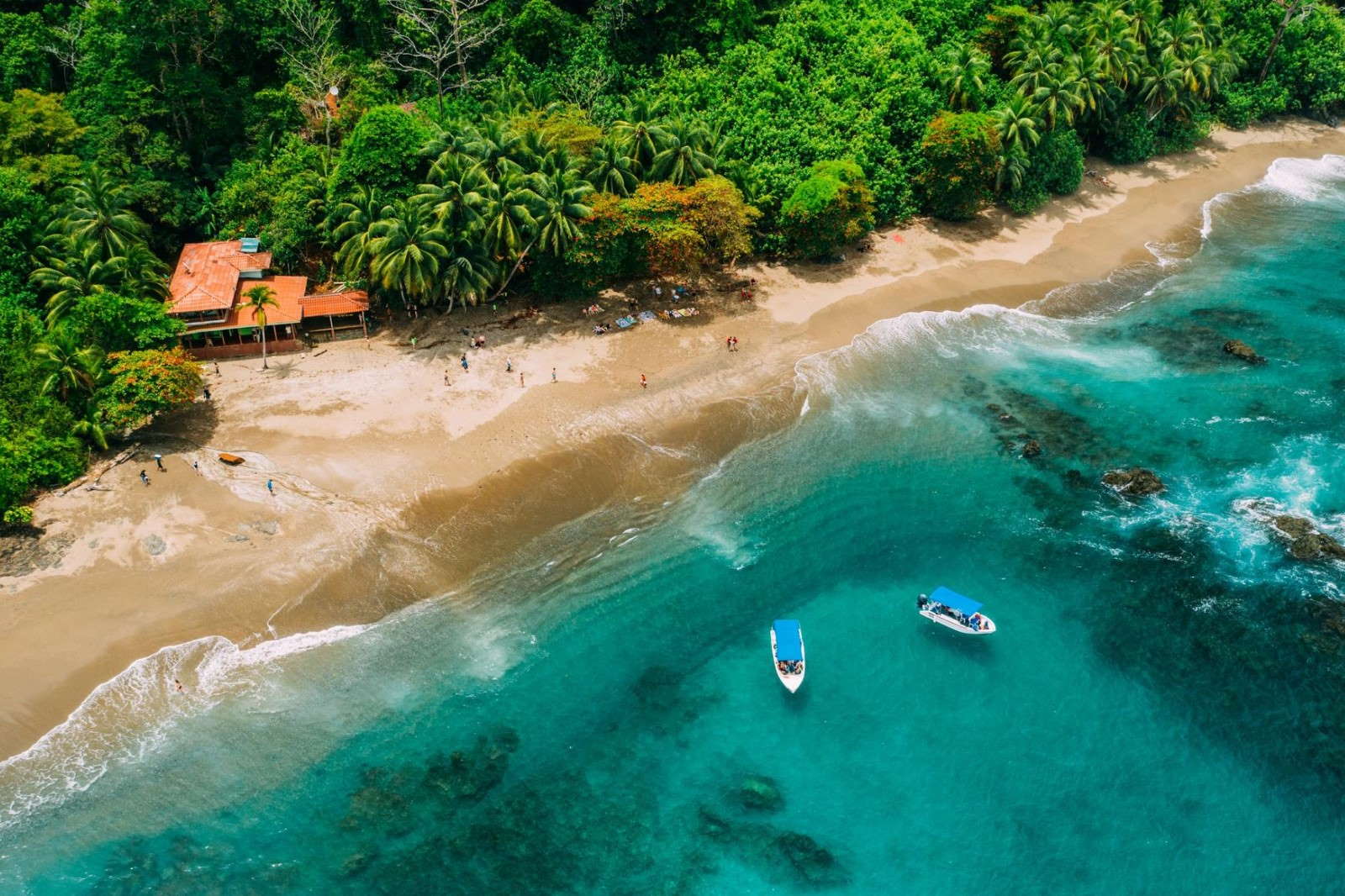 Isla del Caño Snorkeling Tour